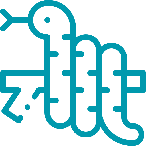 Medicina de animales exóticos - Hospital veterinario sur CDMX