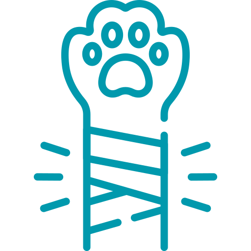 Cojera - Hospital veterinario sur CDMX