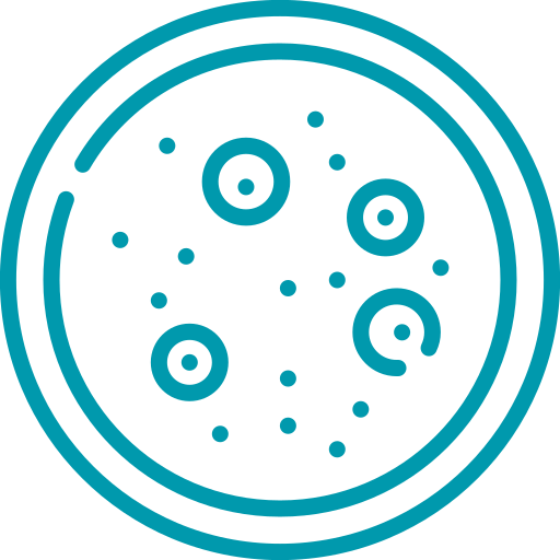 Dermatitis - Hospital veterinario sur CDMX