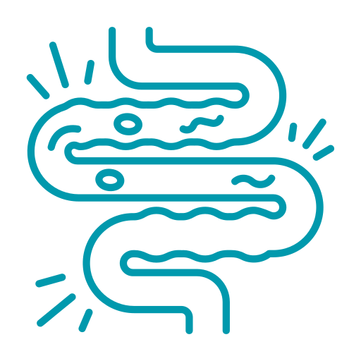 Diarrea - Hospital veterinario sur CDMX