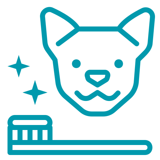 Odontología - Hospital veterinario sur CDMX