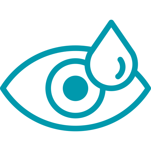 Oftalmología - Hospital veterinario sur CDMX