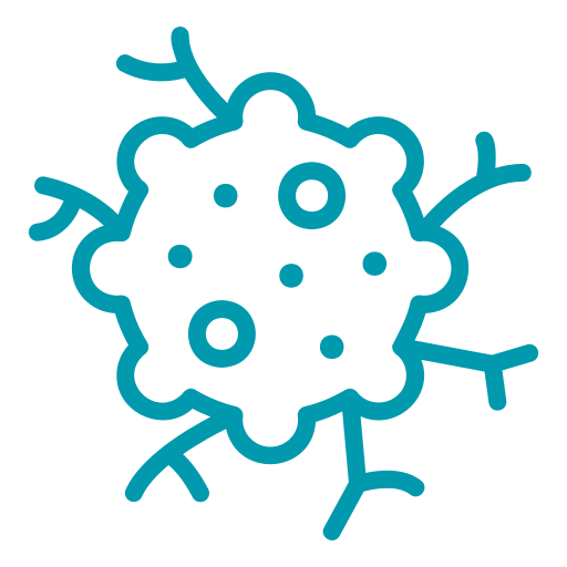 Oncología - Hospital veterinario sur CDMX