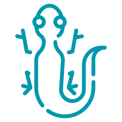 Reptiles - Hospital veterinario sur CDMX