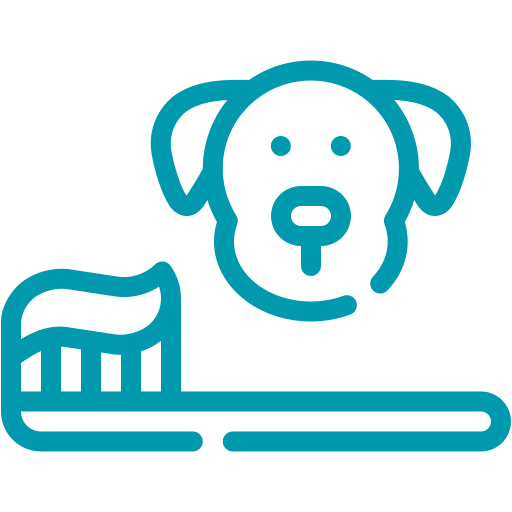 Sarro o mal aliento - Hospital veterinario sur CDMX