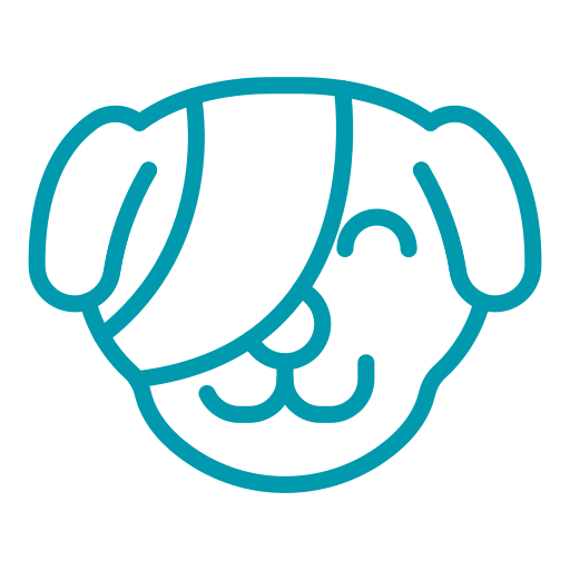 Traumatología - Hospital veterinario sur CDMX