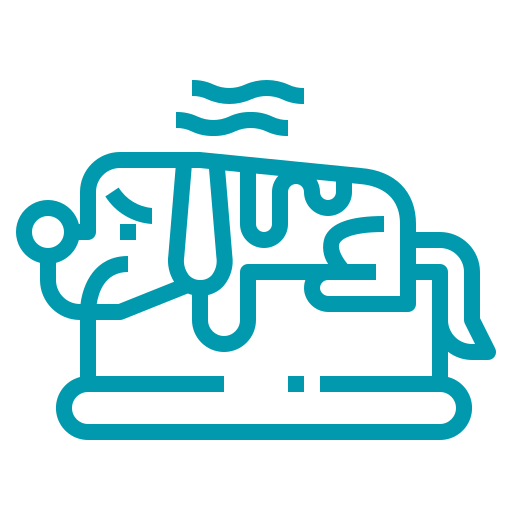 Vómito - Hospital veterinario sur CDMX