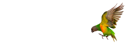 especialidad-en-fauna-silvestre