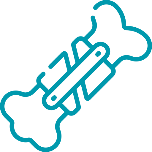 Ortopedia - Hospital veterinario sur CDMX