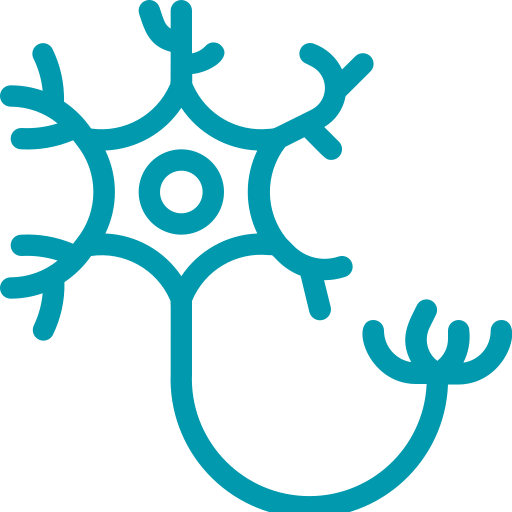 Sistema Nervioso Central y Periférico