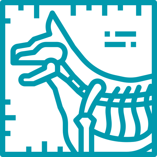 Estudios veterinarios