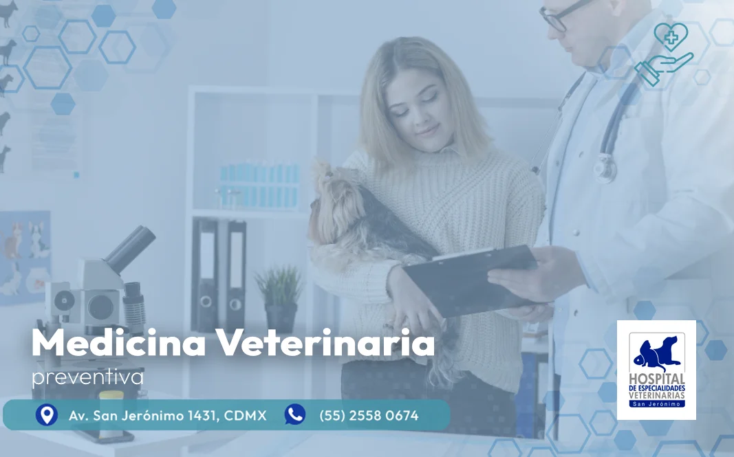 medicina preventiva veterinaria en el sur de la CDMX hospital veterinario