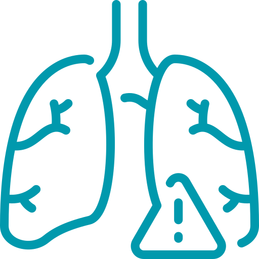 Vacunación - Hospital veterinario sur CDMX